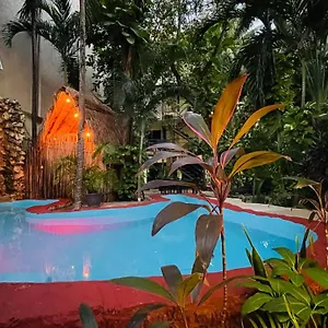 book here